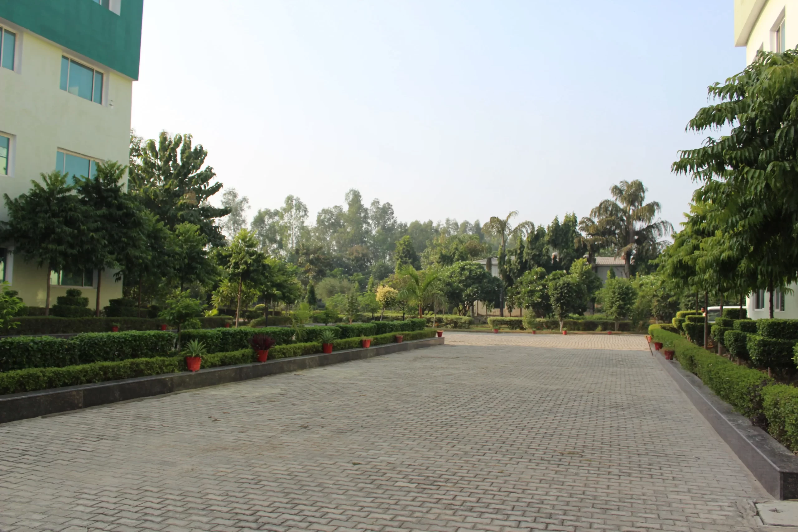 Green Campus (1)